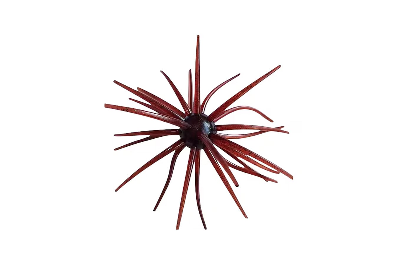 HAGS Prickly Pear Big Tex 25MM Urchin Bait